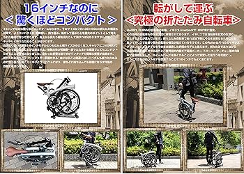 Amazon | HARRY QUINN(ハリー クイン) 英国ブランド 英国STURMEY